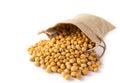 Raw dried soybeans in a sack on white background