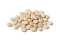 Raw dried white lupin seeds