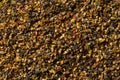 Raw Dry Organic Ground Peppercorns