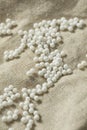 Raw Dry Tapioca Pearls Royalty Free Stock Photo