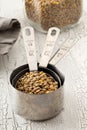 Raw, dry, uncooked brown lentil legumes in glass storage jar and measurement scoops on white wood table background Royalty Free Stock Photo