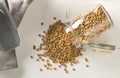 Raw, dry, uncooked brown lentil legumes in glass storage jar on white wood table background flat lay top view from above Royalty Free Stock Photo