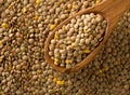 Raw, dry, uncooked brown lentil legumes in wooden spoon on lentil background flat lay top view from above