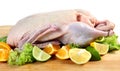 Raw duck with citrus fruits Royalty Free Stock Photo