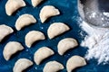 Raw dumpling with potatoes. Preparation dumplings on a blue background Royalty Free Stock Photo