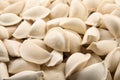 Raw dumplings as background, closeup. Royalty Free Stock Photo