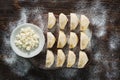Raw dumplings with cottage cheese Royalty Free Stock Photo