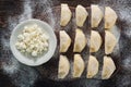 Raw dumplings with cottage cheese Royalty Free Stock Photo