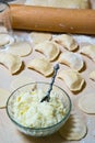 Raw Dumplings with cottage cheese and potato filling Royalty Free Stock Photo