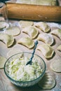 Raw Dumplings with cottage cheese and potato filling Royalty Free Stock Photo