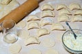 Raw Dumplings with cottage cheese and potato filling Royalty Free Stock Photo