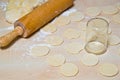 Raw Dumplings with cottage cheese and potato filling Royalty Free Stock Photo