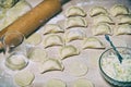 Raw Dumplings with cottage cheese and potato filling Royalty Free Stock Photo