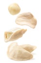 Raw dumplings dough and filling are flying on a white background. Isolated