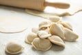 Raw dumplings on light background, closeup. Royalty Free Stock Photo