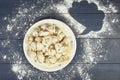 RAW dumplings in a plate on dark wooden background Royalty Free Stock Photo