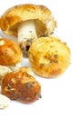 Raw Edible Mushrooms