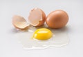 Raw egg Royalty Free Stock Photo