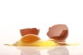 Raw egg Royalty Free Stock Photo