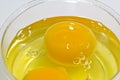 Raw egg in a bowl Royalty Free Stock Photo