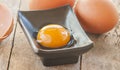 Raw egg in a bowl Royalty Free Stock Photo