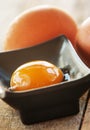 Raw egg in a bowl Royalty Free Stock Photo