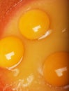 Raw egg in a bowl close up picture, food concept Royalty Free Stock Photo