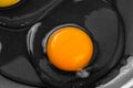 Raw egg with bright yellow yolk and transparent white with a clot in a black frying pan. Shining reflection Royalty Free Stock Photo