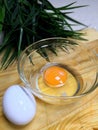 Raw egg in class bowl Royalty Free Stock Photo