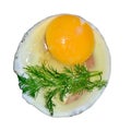 Raw egg is fried in a frying pan, next is a sprig of dill, a photo on a white background Royalty Free Stock Photo