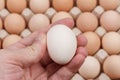 Raw egg in the male the fingers on the background of a carton of eggs