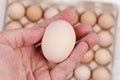 raw egg in the male palms on the background of a carton of eggs