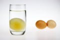 A raw egg without shell Royalty Free Stock Photo