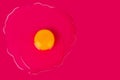 Raw egg with yellow yolk on bright pink background top view close up, uncooked broken egg on red backdrop, art Easter banner