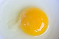 Raw Egg Yolk Royalty Free Stock Photo