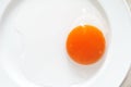 raw egg yolk Royalty Free Stock Photo