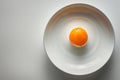 Minimalist Egg Yolk Centered in Plate AI Generated