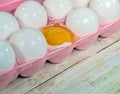 raw egg yolk in shell Royalty Free Stock Photo