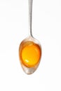 Raw egg yolk on spoon Royalty Free Stock Photo