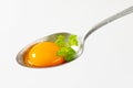 Raw egg yolk on spoon Royalty Free Stock Photo