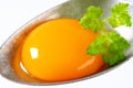 Raw egg yolk on spoon Royalty Free Stock Photo
