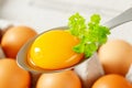 Raw egg yolk on spoon Royalty Free Stock Photo