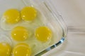 raw egg yolks in a glass bowl Royalty Free Stock Photo