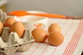 Raw eggs in box and egg yolk on plate with spices and orange brush Royalty Free Stock Photo