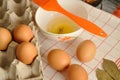 Raw eggs in box and egg yolk on plate with spices and orange brush Royalty Free Stock Photo