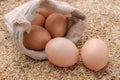 Raw eggs in burlap sack on rice husk background Royalty Free Stock Photo