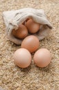 Raw eggs in burlap sack on rice husk background Royalty Free Stock Photo