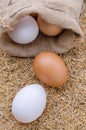 Raw eggs in burlap sack on rice husk background Royalty Free Stock Photo