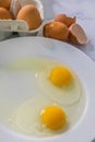 Raw Eggs. Isolated.Focus in the centre. Royalty Free Stock Photo
