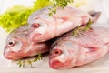 Raw European carp Royalty Free Stock Photo